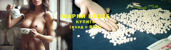 стаф Лагань