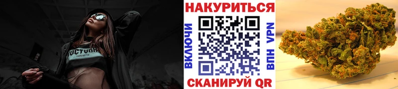 Купить где  Гусиноозёрск  Каннабис ГИДРОПОН 